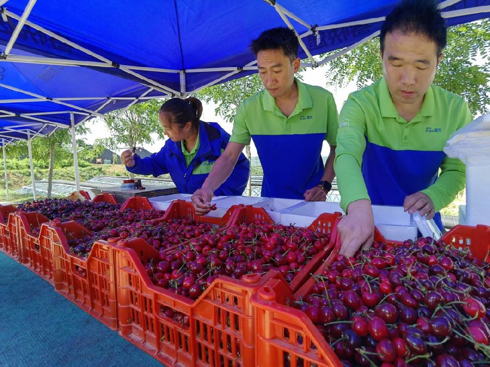 菜鳥速遞進軍生鮮寄送市場，物流行業開啟“爭鮮”之戰